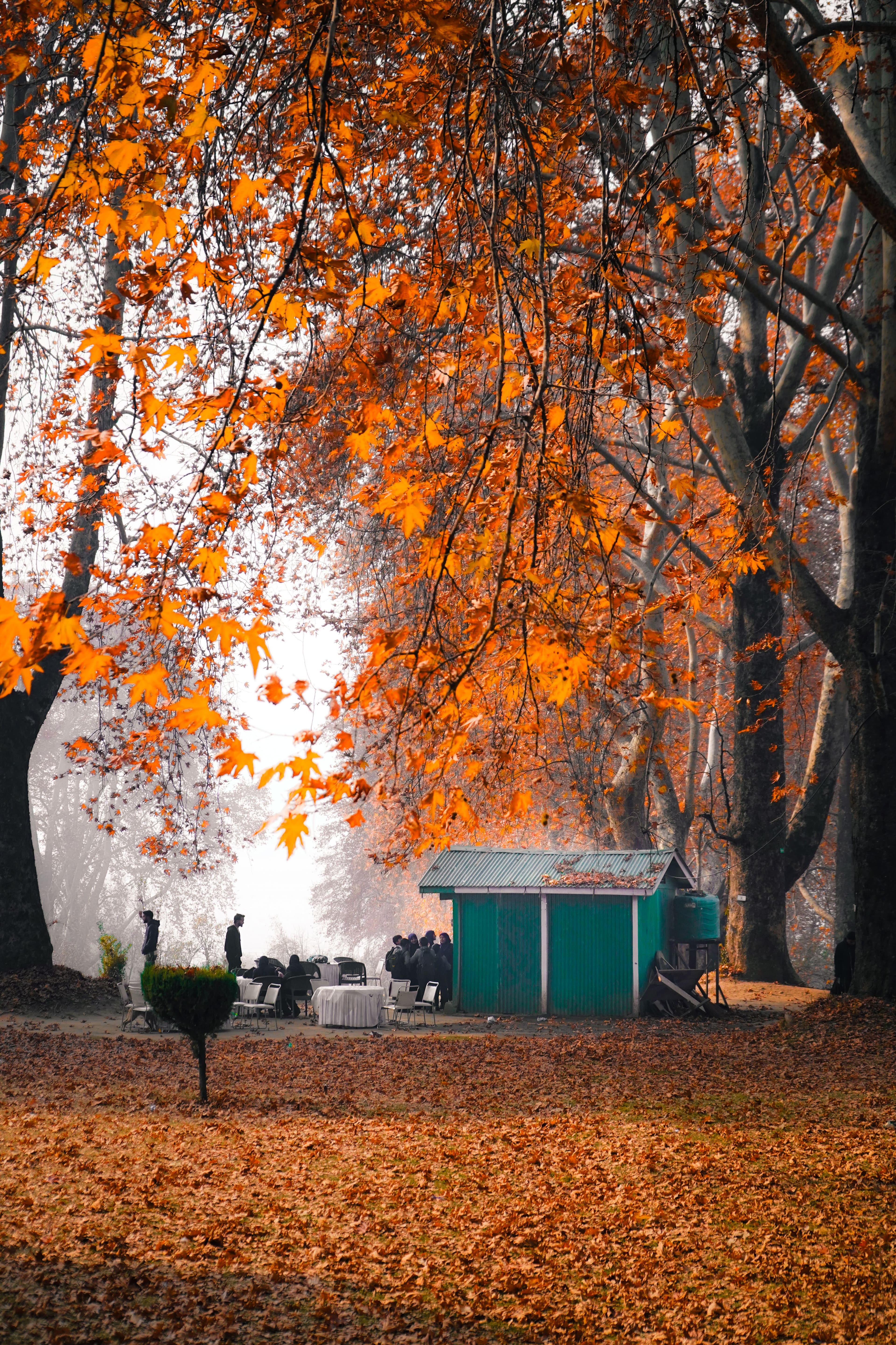 Luxury Kashmir Kashmir tour package